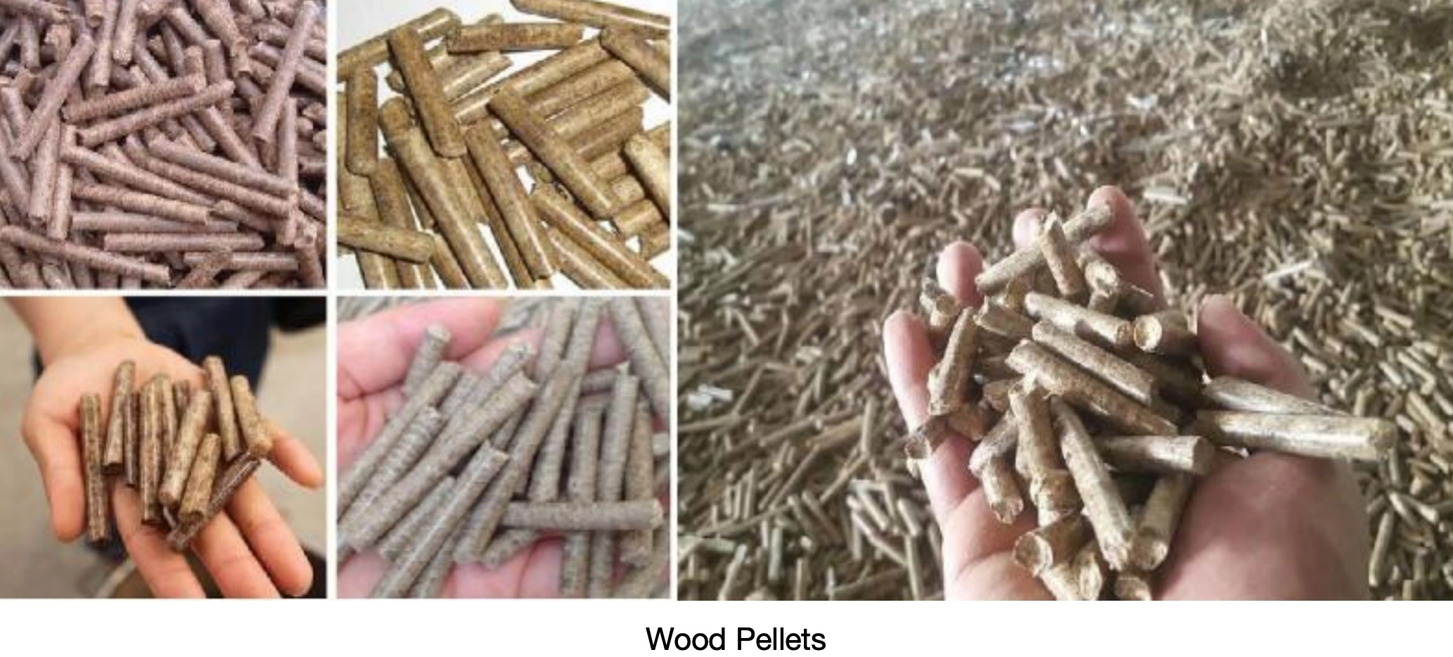 30388a9d726a4ab18d0b15965000342c