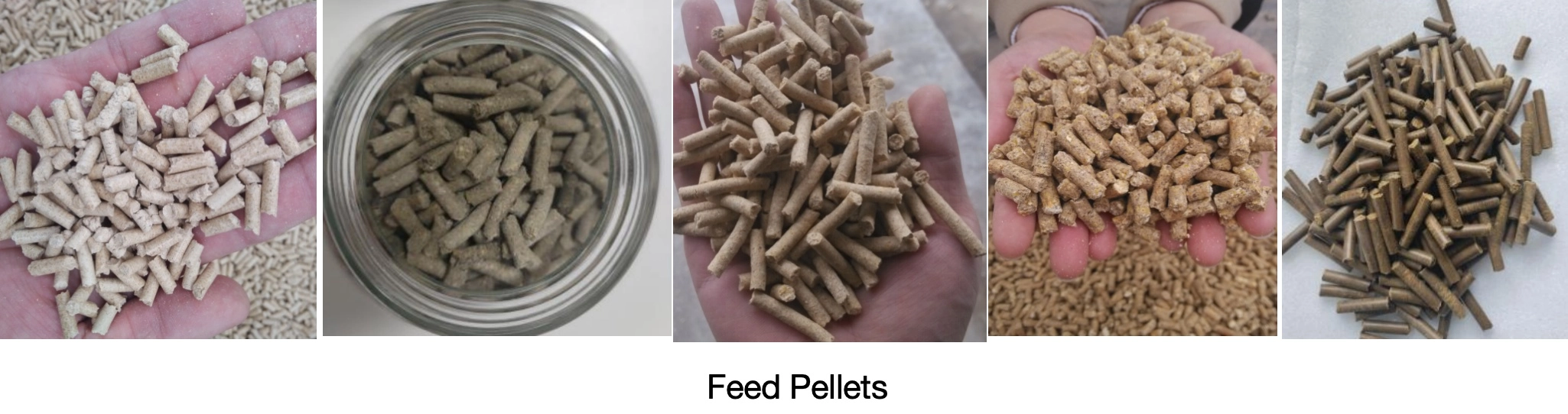 50a22d86479563aa9cf9c4e147a60d8a