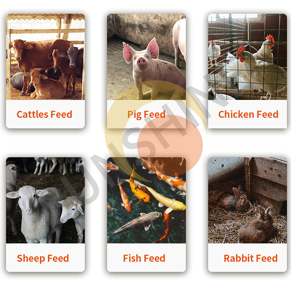 Factory direct sales - high quality and efficient feed pellet machine fish shrimp chicken cattle sheep feed pellet machine