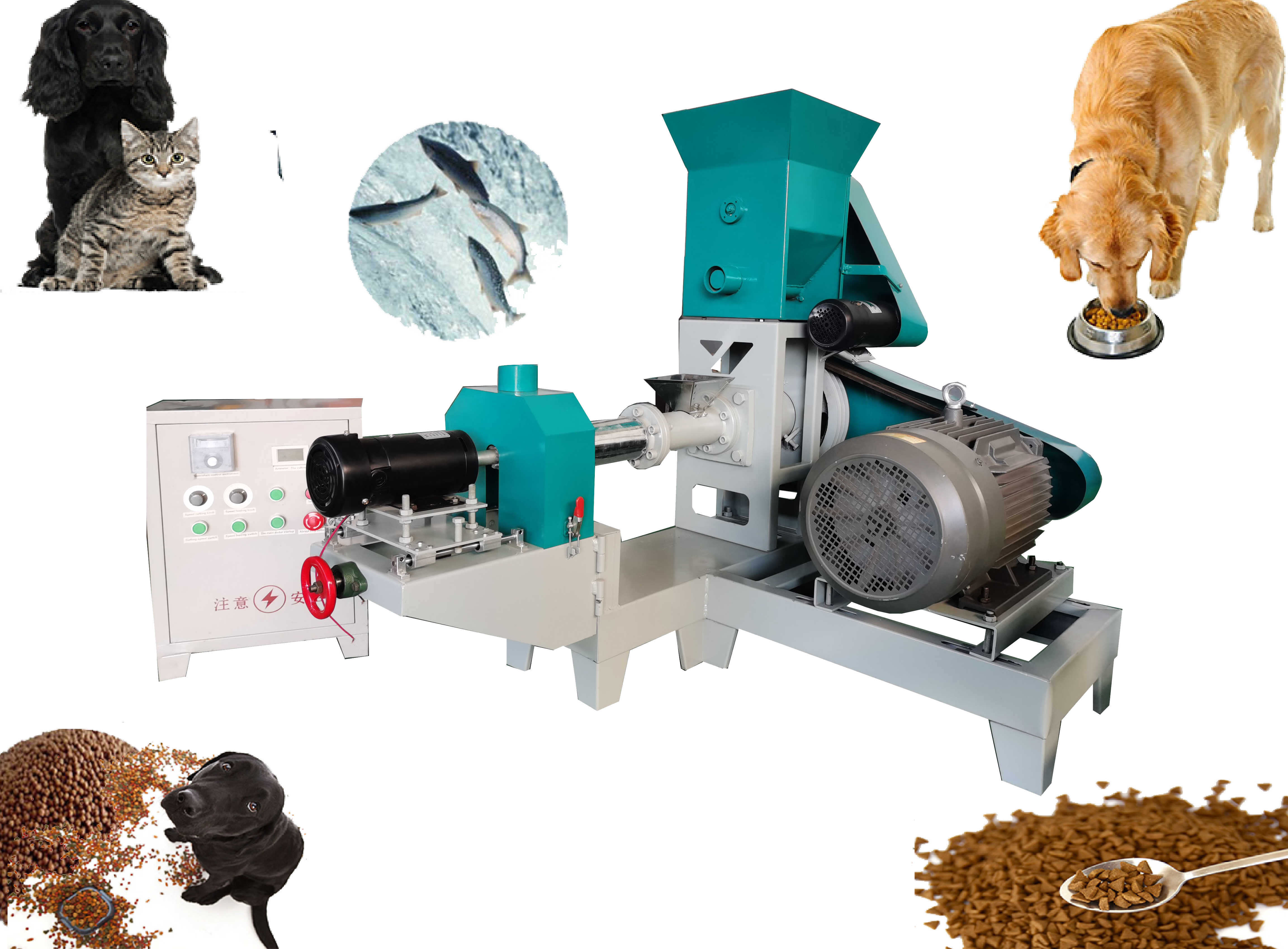 Hot sell Cat Fish Feed Extruder Machine