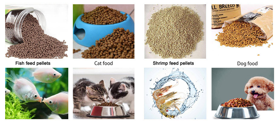 Small Cat Fish Feed Making Machine