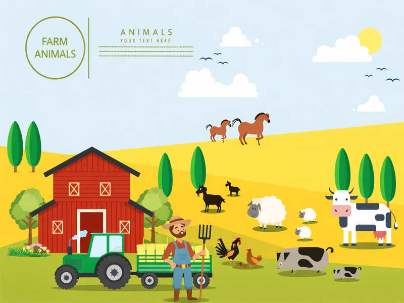 What Impact Will The Plunge in Hog Prices Have on Poultry Farming Industries Such As Chicken And Duck?