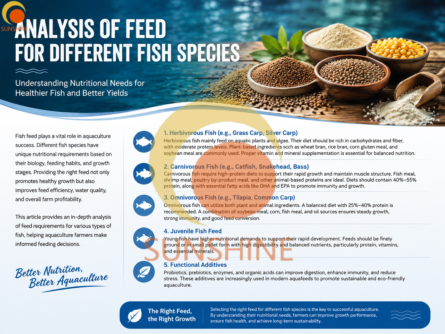 Fish Feed Analysis for Different Fish Species: A Complete Guide To Aquaculture Nutrition