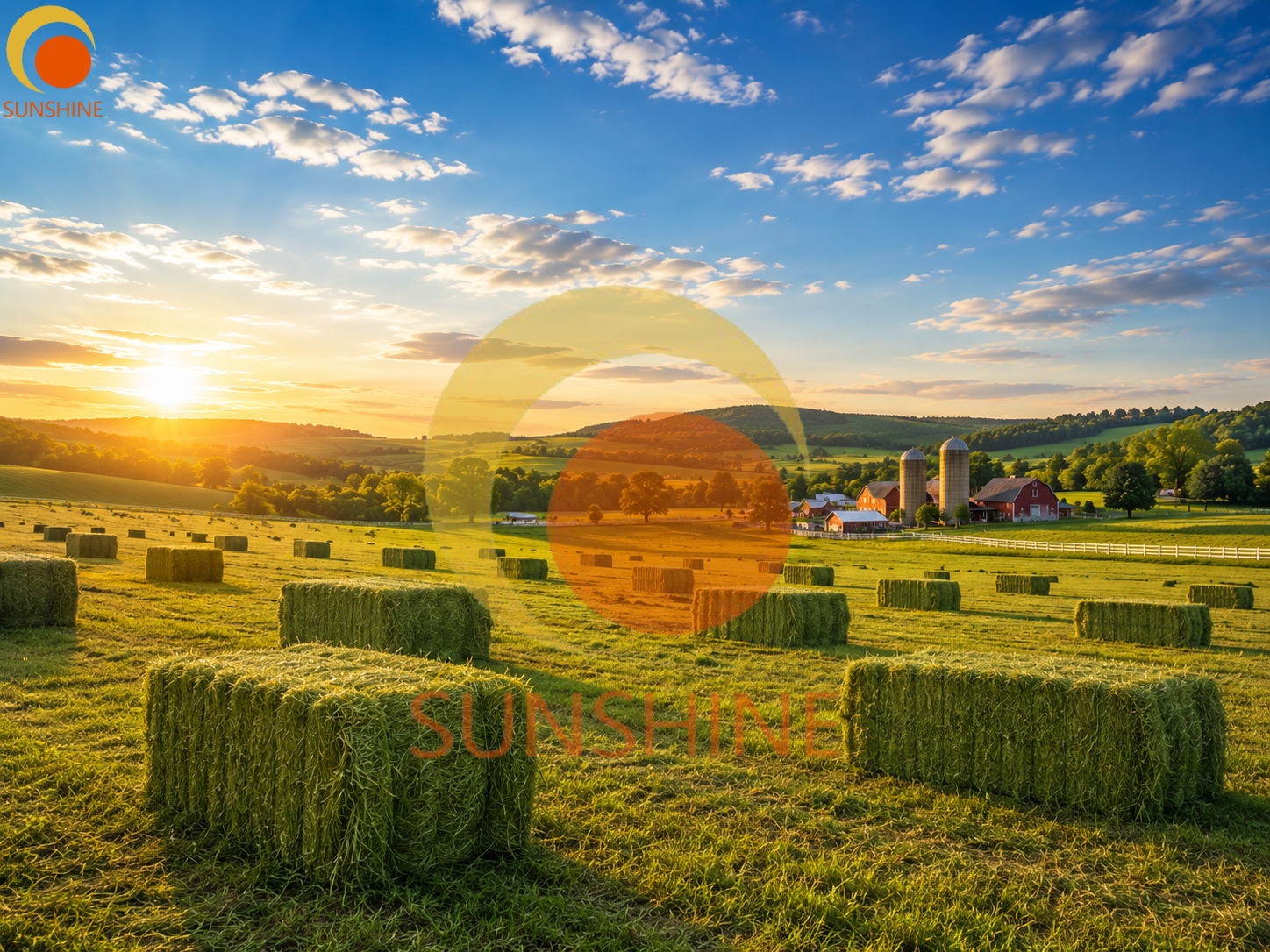 Silage Baler: Efficient Forage Baling And Wrapping for Modern Farms